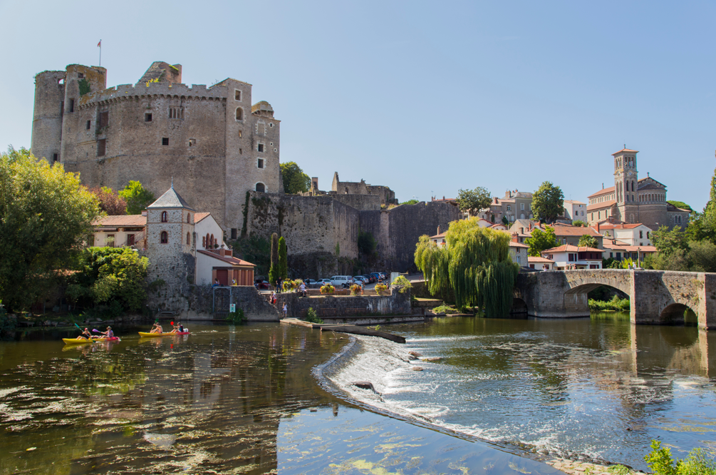 Château _Clisson_ierre_typique